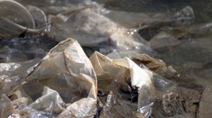 Desivý nález v Rusku. Z rieky vytiahli 27 párov ľudských rúk