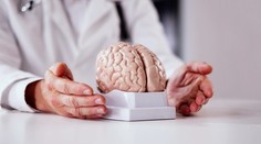 Horčík ako kľúč k zdraviu mozgu? Vedci varujú pred jeho nedostatkom