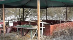 Navštívili sme miesto neďaleko Bratislavy, kde sa roky údajne konali nelegálne psie zápasy