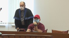 Hoci majiteľ farmy v Dolných Orešanoch stál pred sudcom, psy tam sú naďalej. Ako je to možné?