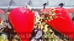 Nešťastie pri Bratislave: Kombajn zachytil osobu, ktorá ležala v poli