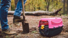 Posledná rozlúčka s domácim miláčikom: Sú isté pravidlá ich uloženia na odpočinok, majú zdravotný význam