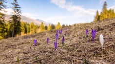 Fantastické video! Ak si ho pozriete, budete hrdí na to, že žijete na Slovensku