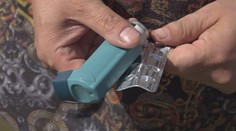 Alergici si ani počas leta nevydýchnu. Najsilnejšie peľové obdobie je práve teraz