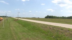 Penziónový škandál pokračuje. Štát odklepol státisíce eur na cestu v poli