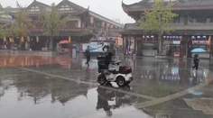 VIDEO: Šofér, akého svet nevidel. Labrador sa preháňal mestom na elektrickom skútri