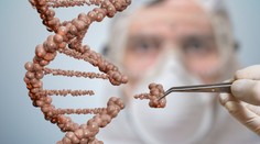 Masový test DNA vypátral vraha mladej dievčiny spred štvrťstoročia