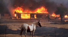 Požiar v Kalifornii zničil viac než 175 budov, muža označeného za pôvodcu zatkli