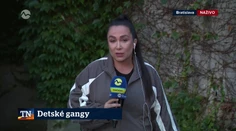 Detské gangy