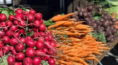 Vitamínová bomba z našich záhrad: Nenápadná zelenina pomáha srdcu aj tráveniu, dokonca je dobrá na chudnutie