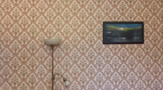 Za socializmu zdobili domácnosti a takmer nás omrzeli. Teraz sa tapety opäť dostávajú do módy