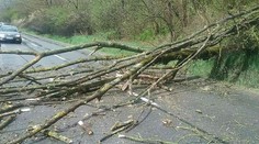 Silný vietor trhal strechy, padajúce stromy ničili autá. Hasiči mali plné ruky práce