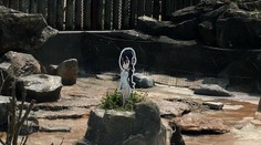 Láska až do smrti. Tučniak sa zamiloval do kreslenej postavičky a skonal po jej boku