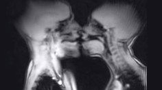 Pohlavný styk, ako ste ho ešte nevideli!