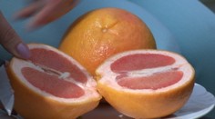 Lekári varujú. Grapefruit môže byť poriadne nebezpečný