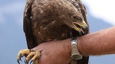 Orol Arnold je späť! Čakalo ho nemilé prekvapenie od partnerky