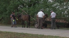 Kuriózna nehoda na juhu Slovenska: Vodička zrazila konský povoz