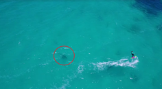 Strach o život na videu: Kráska netušila, čo ju čaká vo vode