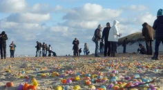 Severné more vyplavilo na pláž ostrova Langeoog tisíce kindervajíčok