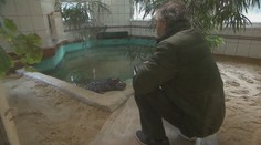 Dôchodca chová v pivnici krokodíla. Príde ku mne, pritúli sa, je ako môj pes, hovorí 71-ročný muž