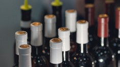 Každú piatu smrť na Slovensku zapríčiní alkohol. Odborník vysvetľuje, v čom spoločnosť zlyhala