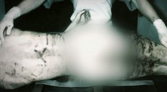 Len si chcel splniť sen. Mladíka (†18) po prekročení hranice roztrhali psy