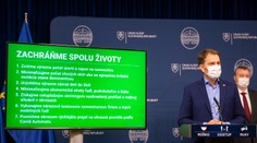 Deväťdňové testovanie od pondelka: Do práce či do prírody potrebujete od 27. januára negatívny test