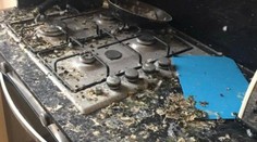 Študent zabudol zavrieť okno na internáte. Po šiestich mesiacoch ho čakal doslova hnus