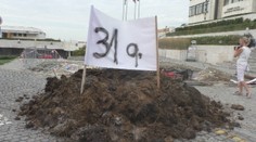 Nespokojní farmári vysypali hnoj pred parlamentom. Určený bol Dankovi