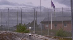 Krok, aký nemá obdobu. Európska krajina chce posielať za mreže zločincov od 13 rokov