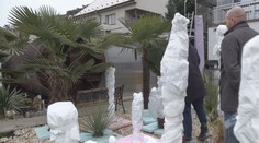 To, čo sa kedysi zdalo nemožné, je realitou. Na Slovensku vyrastajú netradičné rastliny