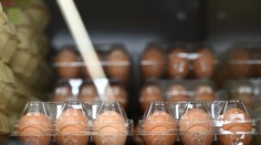 Jeden druh vajec už v mnohých obchodoch nenájdete. Zákazníkom sa nákup predraží
