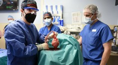 Veľký prielom v medicíne. Mužovi transplantovali srdce z prasaťa