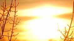 Tešte sa, Oskar zajtra vycerí svoje zúbky