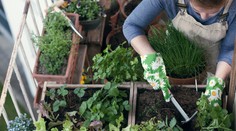 Túžite po vlastnej záhradke na balkóne? Poradíme vám, ako si ju ešte stíhate vytvoriť