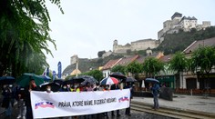 SaS znepokojuje, že KOZ podporuje referendum za predčasné voľby