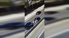 VIDEO: Lietali päste aj barly. Pri ZOO v Bratislave sa pobili dvaja vodiči, po chvíli sa pridali aj ženy