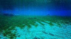 Takto vyzerá najčistejšie jazero na svete