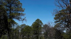 V Mexiku zavraždili kandidáta na starostu, ďalšieho zranili