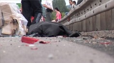 Keď sa vám pokazí auto na frekventovanej ceste, mali by ste dodržiavať tieto zásady