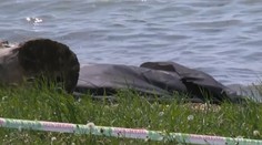 Zo sútoku Dunaja a ramena Zuzana vytiahli hasiči mŕtvolu v hroznom stave