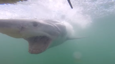 Manželia na medových týždňoch. Chýbal kúsok a všetko by bolo inak