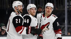 Pánik dvanástym gólom v sezóne prispel k výhre Arizony, Toronto s rekordnou výhrou