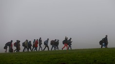 Migranta na bulharskej hranici zasiahla odrazená guľka