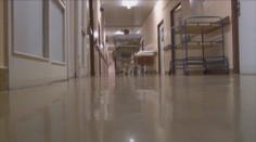 Žena sa mala nakaziť svrabom v breznianskej nemocnici