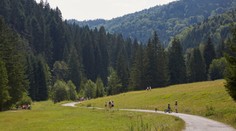 Studený front veľkú úľavu neprinesie. Horúčavy sa už čoskoro vrátia