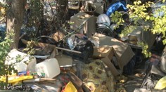 Viete, kto sú Šmačari? Majú naozaj zvláštnu záľubu