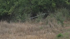 Prípad nájdenej kostry vo Veľkých Ripňanoch: Obyvateľka tvrdí, že zrejme ide o jej roky nezvestného syna