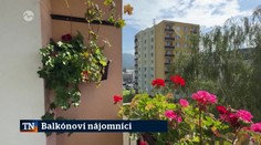 Balkónoví nájomníci