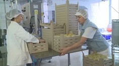 Daň z potravín musia v týchto dňoch zaplatiť tieto reťazce. Brusel prosia o pomoc